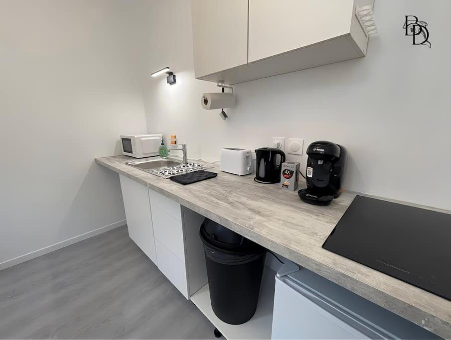 T1 Bis Appartement B3 30M2 Cosy 7Min A Pieds Des Gares Roanne Buitenkant foto