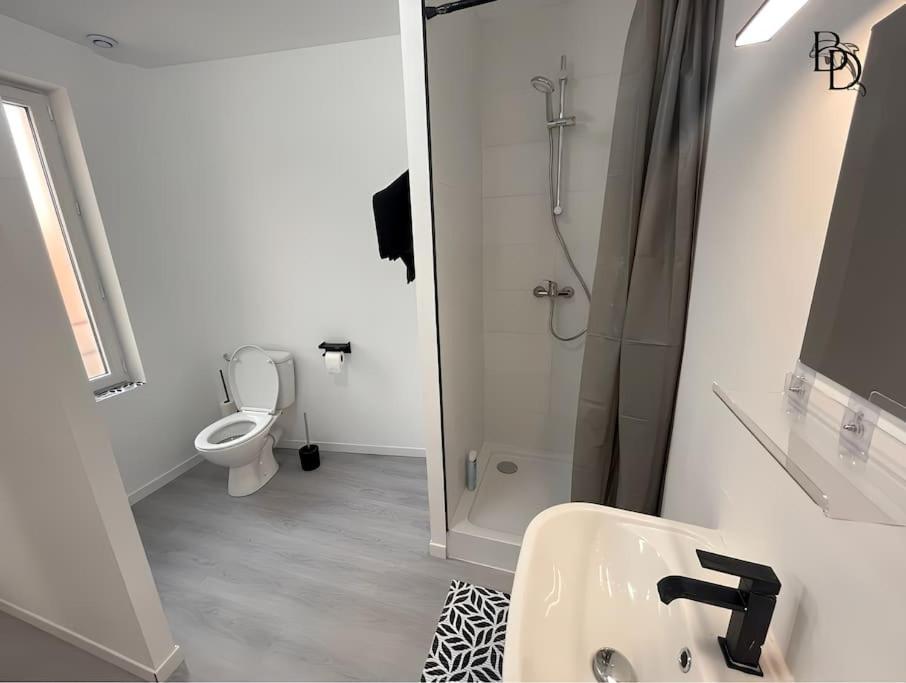 T1 Bis Appartement B3 30M2 Cosy 7Min A Pieds Des Gares Roanne Buitenkant foto